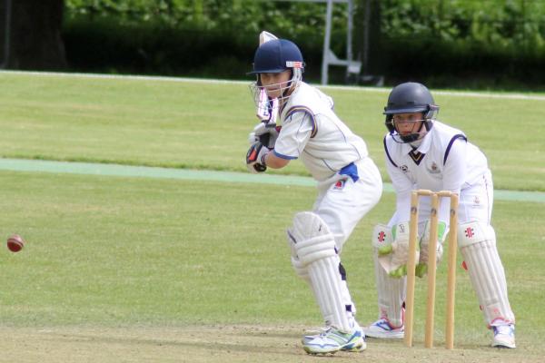 Fin Hill batting against Cornwall (21 May)