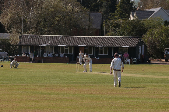 Cricket at Thorverton