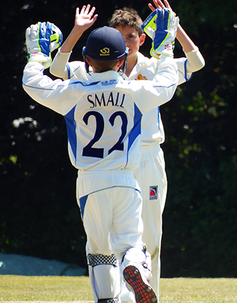 Adam Small and Josh Farley celebrate the fall of a wicket