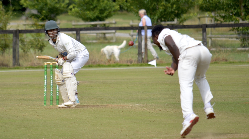 Abhishek Anand  one of three batters to make half-centuries for Stoke Gabriel  against Seaton<br>credit: Conrad Sutcliffe - no re-use without copyright owner's consent